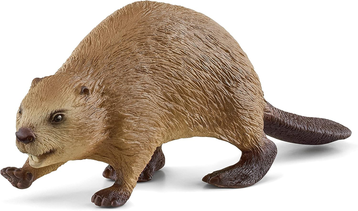Фігурка Schleich Wild Life Beaver 7 см (4059433364582) - зображення 1