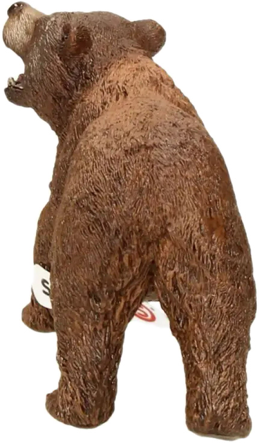 Figurka Schleich World of Nature Wild Life Grizzly Bear (4059433406282) - obraz 2