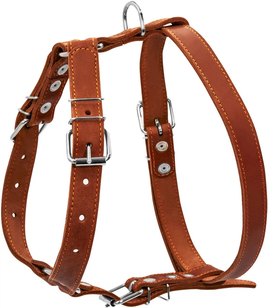 Шлейка Collar одинарна (ширина 25 мм, А: 49-68 см, В: 68-80 см) Коричнева (06386Collar) - Фото 2 Шлейка Collar одинарна (ширина 25 мм, А: 49-68 см, В: 68-80 см) Коричнева (06386Collar) - зображення 2