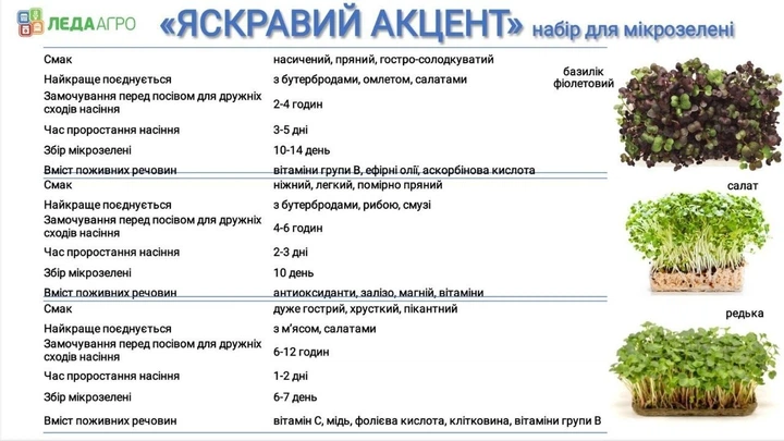 Набір для вирощування мікрозелені "Яскравий Акцент", базилік, салат, редька Leda Agro - Фото 2 Набір для вирощування мікрозелені "Яскравий Акцент", базилік, салат, редька Leda Agro - изображение 2