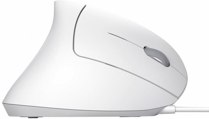 Mysz Trust Verto Ergonomic USB Biała (8713439251333) - obraz 3