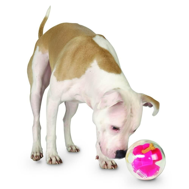 Planet store dog ball