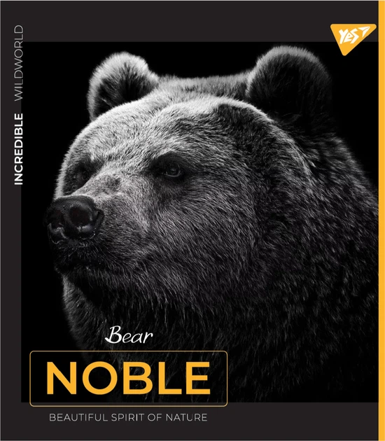 Набор тетрадей ученических YES Noble А5 48 листов в клетку 5 шт (766862) - Фото 4 Набор тетрадей ученических YES Noble А5 48 листов в клетку 5 шт (766862) - изображение 4