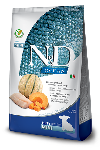 Беззерновий сухий корм Farmina N&D Grain Free OCEAN PUMPKIN для цуценят дрібних порід з тріскою та динею, 800 г - изображение 1