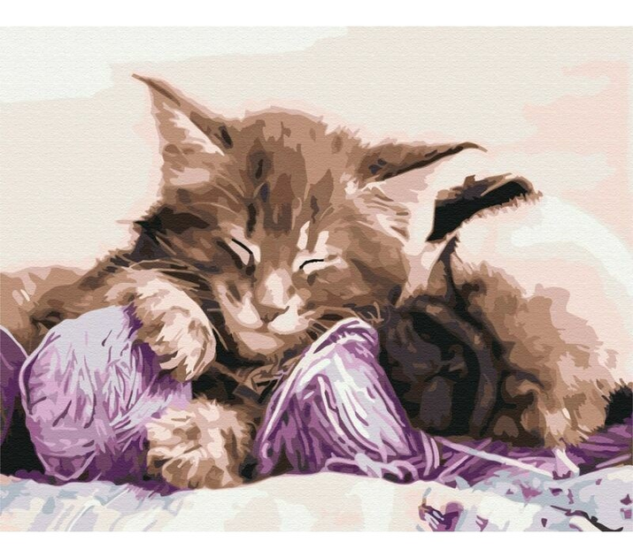 Картина за номерами Symag Paint it Кішка і собака 40 x 50 см (5904433380478) - зображення 1