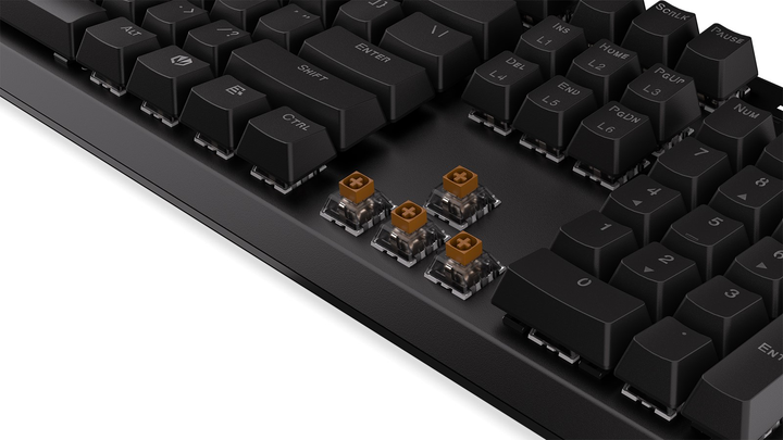 Клавіатура бездротова Endorfy Thock Kailh Box Brown Wireless Black (EY5A078) - зображення 12