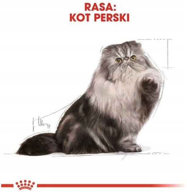 Sucha karma Royal Canin Persian Adult dla kotów dorosłych rasy perskiej 400 g (3182550702607) - obraz 5