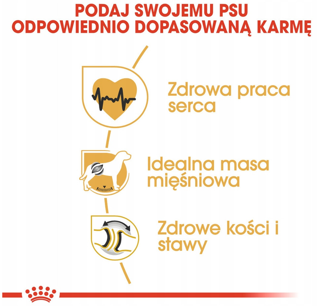 Сухий корм Royal Canin Rottweiler Adult для дорослих собак породи ротвейлер 12 кг (3182550736060) - зображення 5