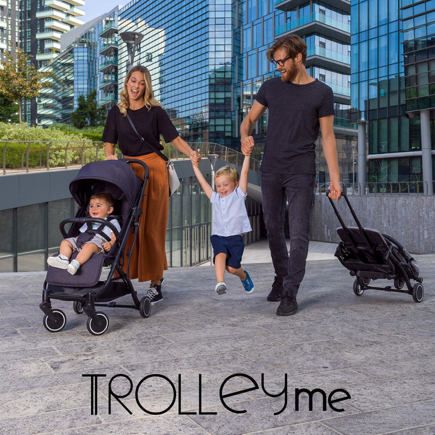 Прогулочная коляска Chicco Trolley Me Серая (79865.28) - изображение 2