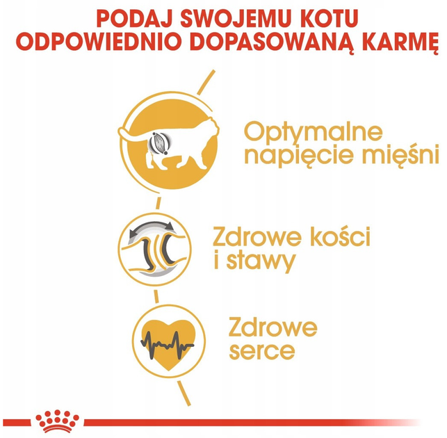 Сухий корм Royal Canin British Shorthair Adult для дорослих котів британської короткошерстої породи 400 г (3182550756402) - зображення 5