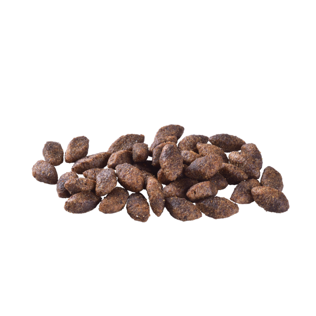 Сухой корм Brit Care Dog Grain-free Sensitive для взрослых собак с мясом оленя 1 кг - изображение 2