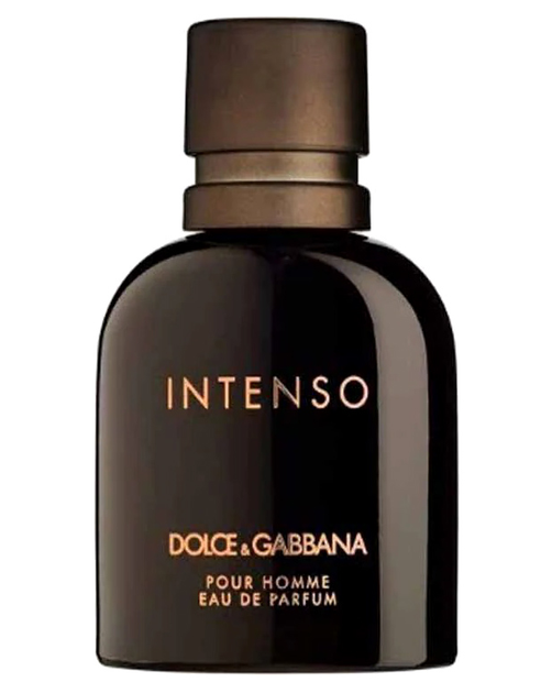 Woda perfumowana męska Dolce & Gabbana Intenso Pour Homme 4.5 ml (737052783819) - obraz 1