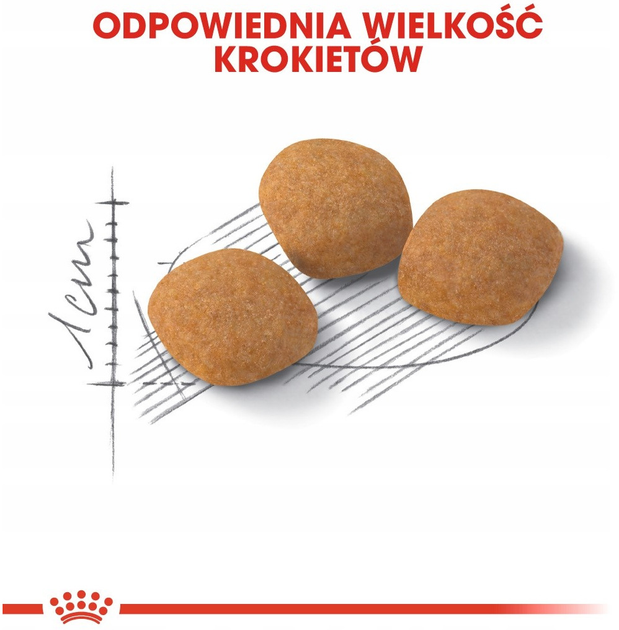Sucha karma Royal Canin Exigent Protein Preference dla wymagających dorosłych kotów 2 kg (3182550767194) - obraz 5