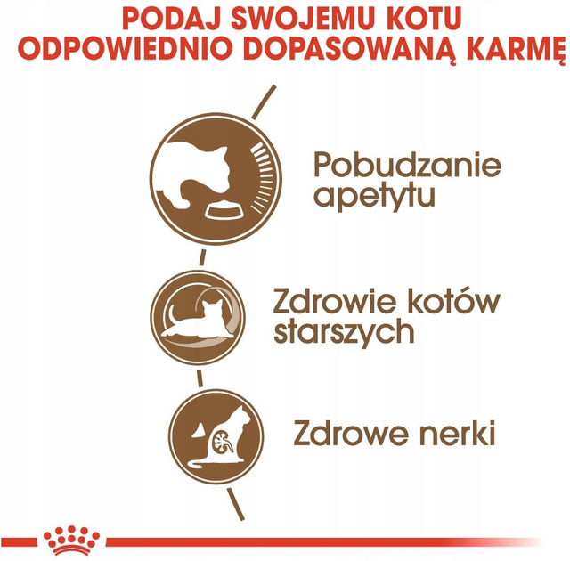 Sucha karma Royal Canin Senior Ageing dla kotów 12+ 2 kg (3182550786218) - obraz 4