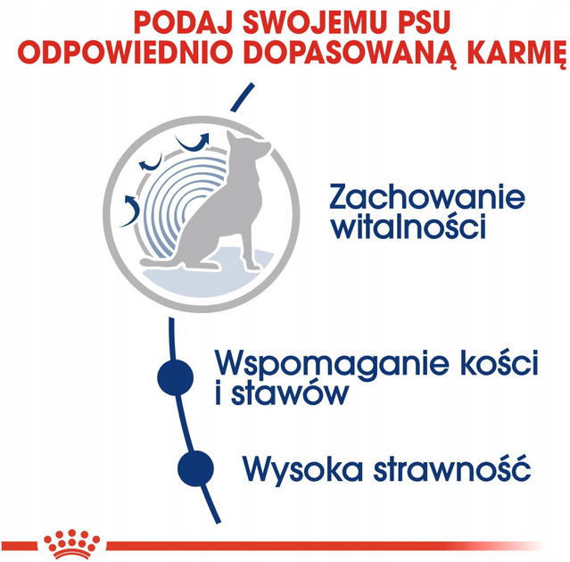 Sucha karma dla psów dużych ras powyżej 8 roku życia Royal Canin Maxi Ageing 8+ 15 kg (3182550803113) - obraz 5