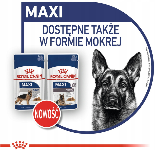 Sucha karma dla psów dużych ras powyżej 8 roku życia Royal Canin Maxi Ageing 8+ 15 kg (3182550803113) - obraz 8