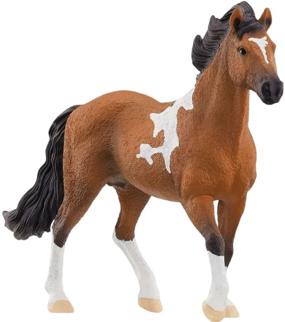 Фігурка Schleich Horse Club Жеребець Мангаларга 11 см (4059433753645) - зображення 1