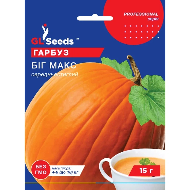 Семена Тыква Биг Макс GL Seeds 15г (Professional2419) - Фото 1 Семена Тыква Биг Макс GL Seeds 15г (Professional2419) - изображение 1