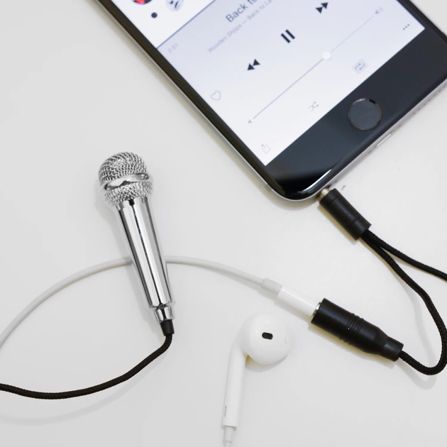 Mini mikrofon Kikkerland Mini Karaoke Microphone Silver (US133-EU) (0612615083240) - obraz 3
