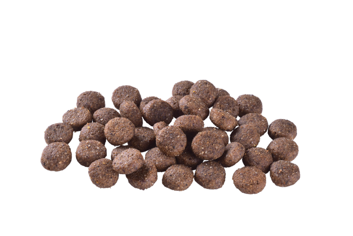 Корм для собак малих і середніх порід Brit Care Dog Grain-free Adult беззерновий з лососем - 1 кг - изображение 4