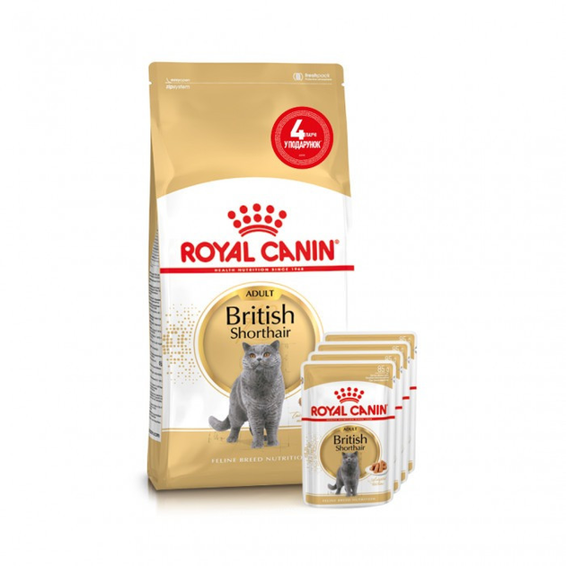 Корм Royal Canin British shorthair корм для кошек британская ...