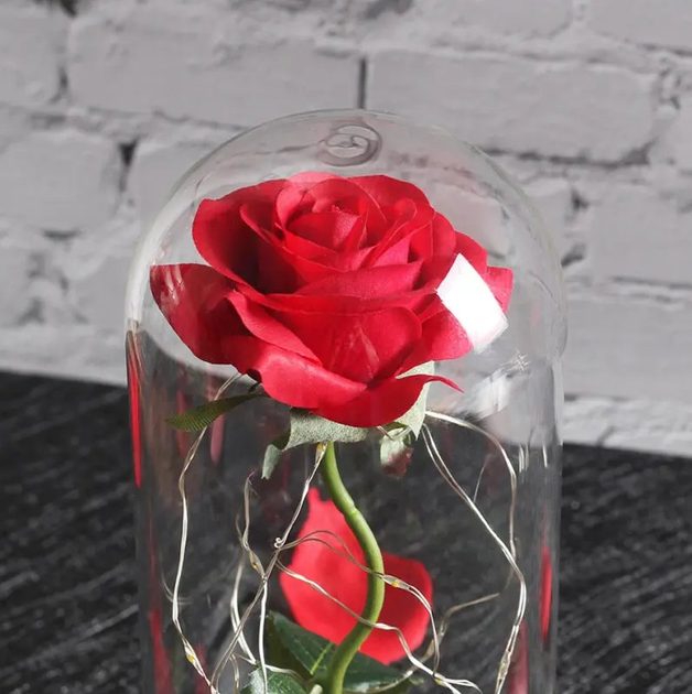 Роза в стеклянной колбе с подставкой LOVE STORIES ROSES, 21 см, красная ...