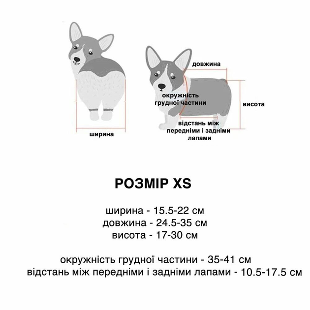 Пес на колесах. Инженер из Серпухова делает инвалидные коляски для собак