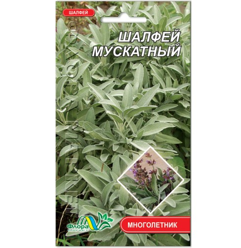 Насіння шавлія мускатна багаторічник 0.2 г - Фото 1 Насіння шавлія мускатна багаторічник 0.2 г - зображення 1