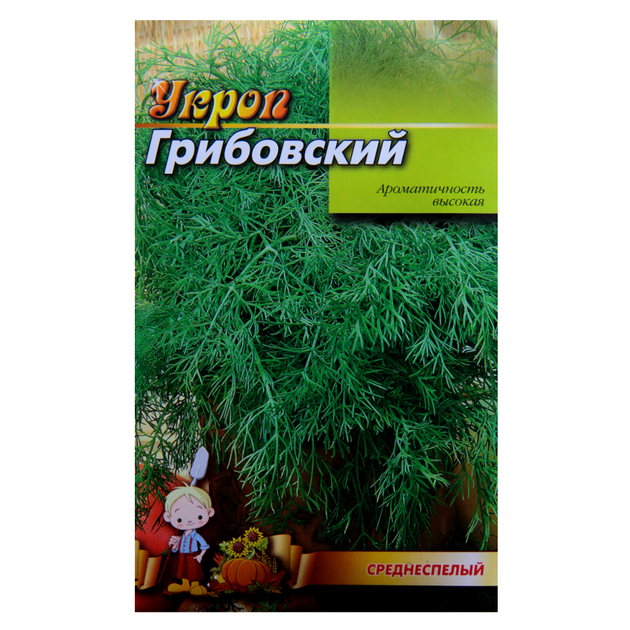 Семена Укроп Грибовский среднеспелый 20 г большой пакет - Фото 1 Семена Укроп Грибовский среднеспелый 20 г большой пакет - изображение 1