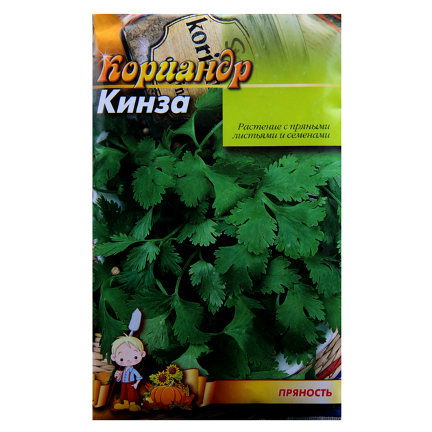 Насіння Кінза Коріандр ранньостиглий 15 г - Фото 1 Насіння Кінза Коріандр ранньостиглий 15 г - зображення 1