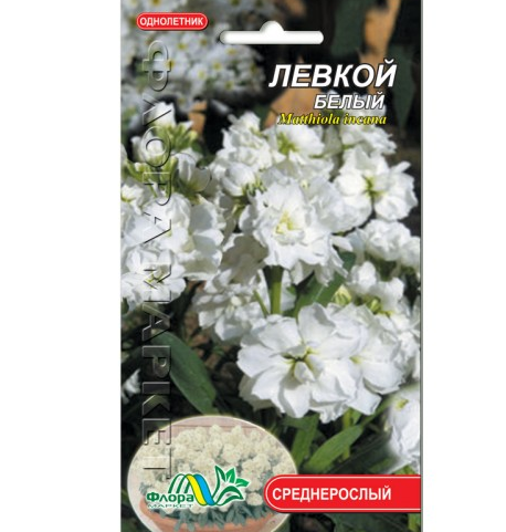Насіння Левкой білий однорічник середньорослий 0.1 г - Фото 1 Насіння Левкой білий однорічник середньорослий 0.1 г - зображення 1