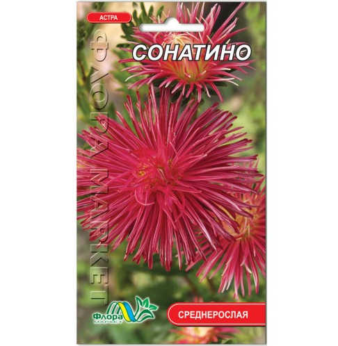 Семена Астра Сонатино игольчатая малиново-розовый 0.3 г - Фото 1 Семена Астра Сонатино игольчатая малиново-розовый 0.3 г - изображение 1
