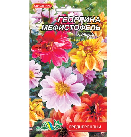 Семена Георгина Мефистофель смесь разные цвета однолетник среднерослый 0.2 г - Фото 1 Семена Георгина Мефистофель смесь разные цвета однолетник среднерослый 0.2 г - изображение 1