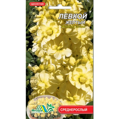 Насіння Левкой жовтий однорічник середньорослий 0.1 г - Фото 1 Насіння Левкой жовтий однорічник середньорослий 0.1 г - зображення 1