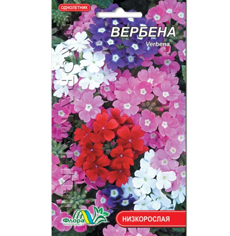 Насіння Вербена суміш різні кольори однорічник низькорослий 0.3 г - Фото 1 Насіння Вербена суміш різні кольори однорічник низькорослий 0.3 г - зображення 1