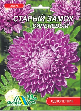 Насіння айстра Старий замок бузковий однорічник 0,3 г - Фото 1 Насіння айстра Старий замок бузковий однорічник 0,3 г - зображення 1