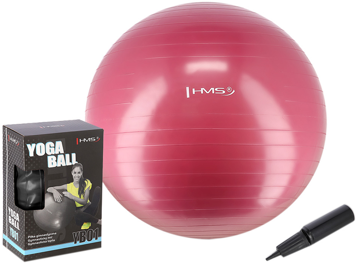 Фитнес мяч (фитбол) HMS Fitball 65 см 17-42-162 Красный (5907695554762 ...