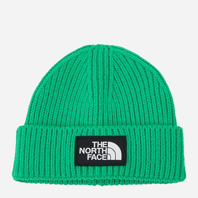 Шапка The North Face NF0A3FJXPO8 One Size Зелена (196575387001) - зображення 1