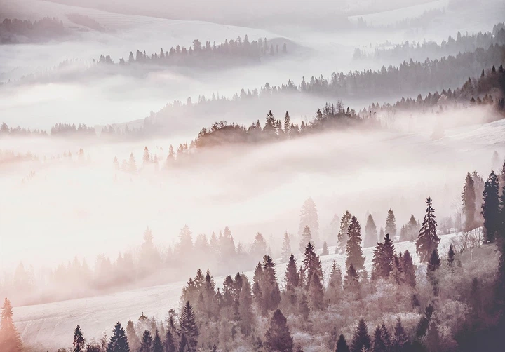Осень в горах флизелиновые фотообои 520 x 318 см Пейзаж - Лес под белым туманом (13573VEXXXXXL)+клей - изображение 2