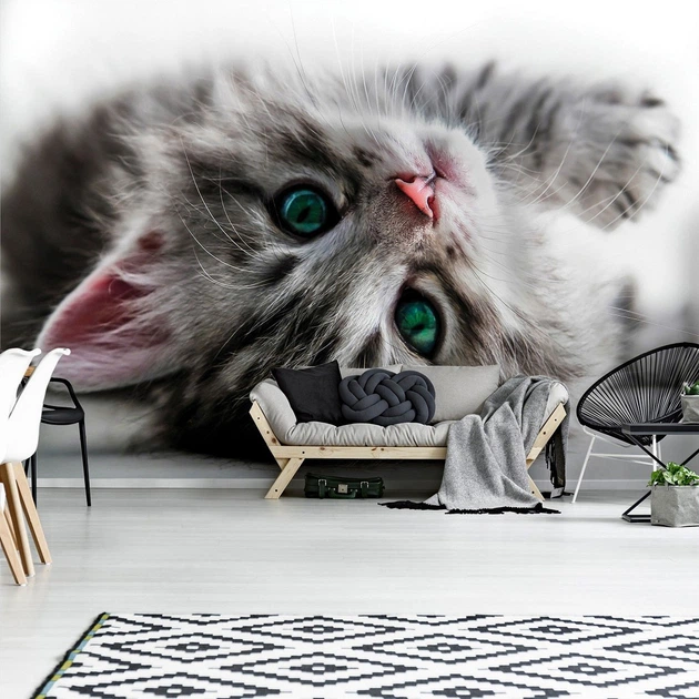 Коты флизелиновые фотообои 3D 416x254 см Сладкий котенок (1183VEXXXL)+клей - изображение 10
