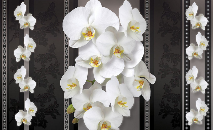 3д обои орхидеи — купить в каталоге с ценой и фото в интерьере кухни, спальни или гостиной