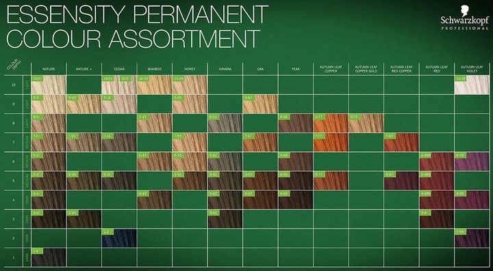 Farba do włosów Schwarzkopf Professional Essensity Permanent Color Ammonia Free 7.0 60 ml (4045787600896) - obraz 3