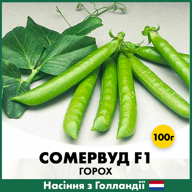 Голландские семена Syngenta Горох Сомервуд F1 100 г - изображение 2