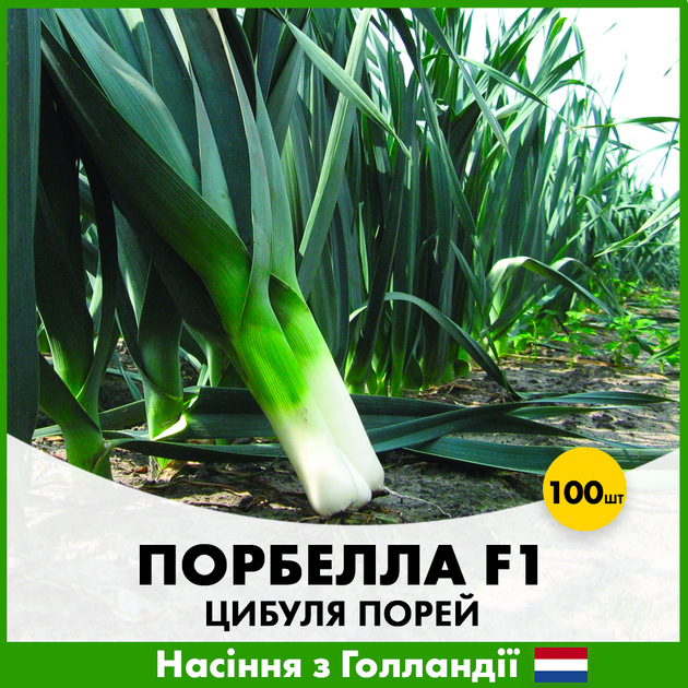 Голландське насіння Hazera Цибуля порей Порбелла 100 шт - зображення 2