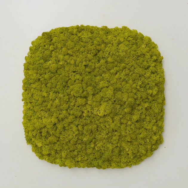 Панно з Моху - Cупереліпсна панель 33 см - Lime Green - зображення 2