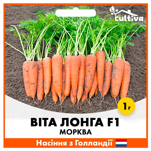 Голландские Семена Bejo Морковь Вита Лонга, 1 г - изображение 2