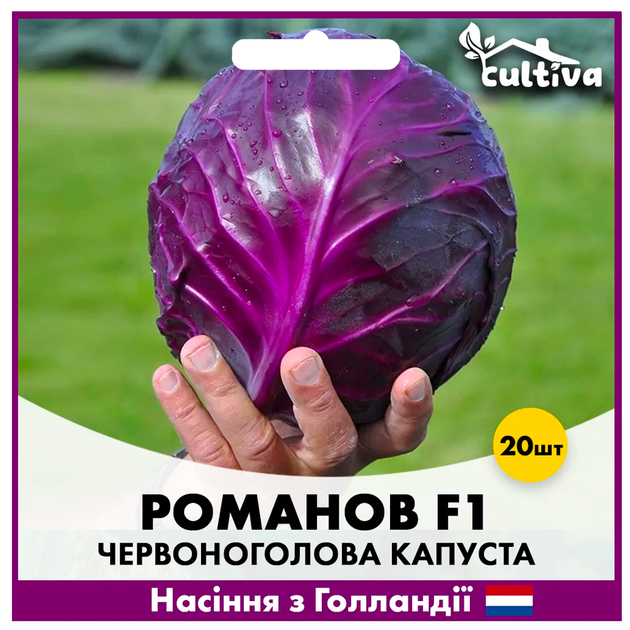 Голландские семена Hazera Красноголовая капуста Романов F1 20 шт - Фото 2 Голландские семена Hazera Красноголовая капуста Романов F1 20 шт - изображение 2