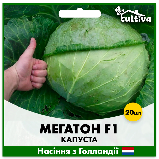 Голландське Насіння Bejo Білоголова капуста Мегатон F1 20 шт - зображення 5