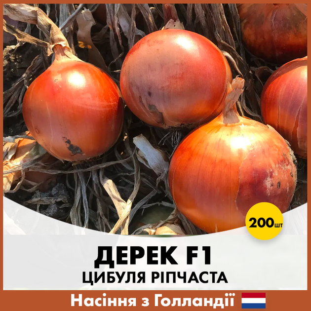 Голландские семена Hazera Лук репчатый Дерек F1 200 шт - изображение 4