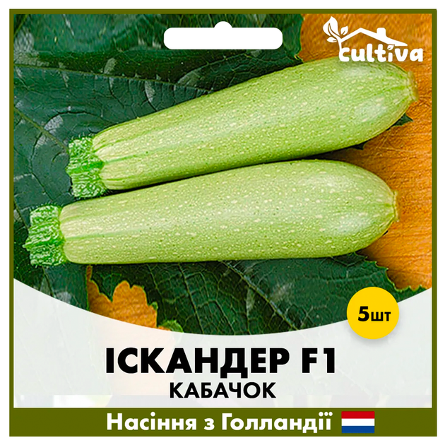 Голландские семена Seminis Кабачок Искандер F1 5 шт - Фото 2 Голландские семена Seminis Кабачок Искандер F1 5 шт - изображение 2